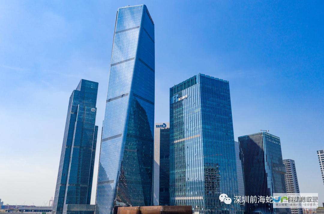 深圳专业的网站建设公司：定制您的专属数字资产，引领在线成功