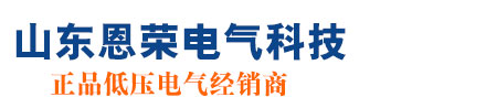 恩荣电气-山东河北新疆ABB施耐德代理接触器-断路器-变频器-继电器 - 恩荣电气-山东河北新疆ABB施耐德代理接触器-断路器-变频器-继电器